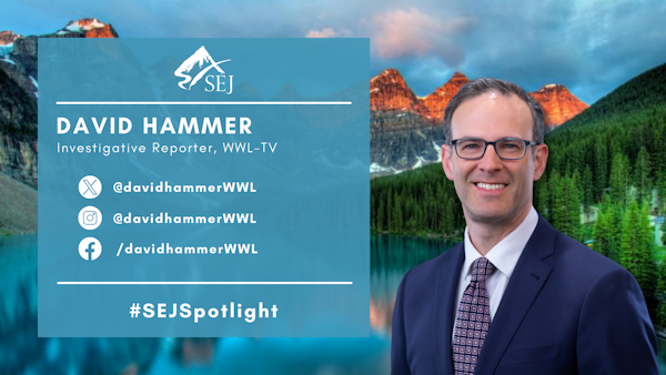 #SEJSpotlight graphic for David Hammer