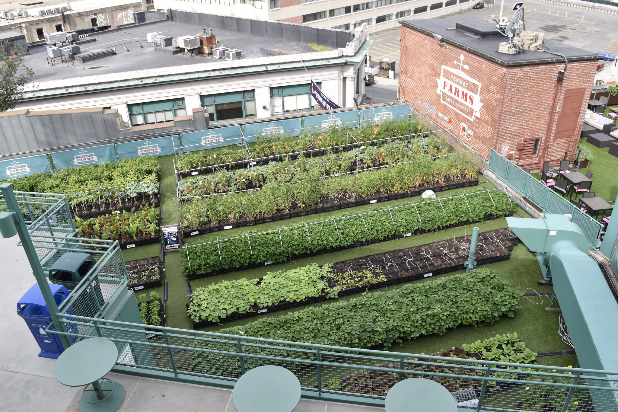 Urban Farming And Rooftop Gardens Babyboomerstraveling