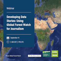 Developing Data Stories: Using Global Forest Watch for Journalism | SEJ