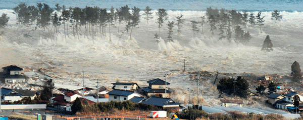 Reporter S Toolbox Covering Tsunamis Sej