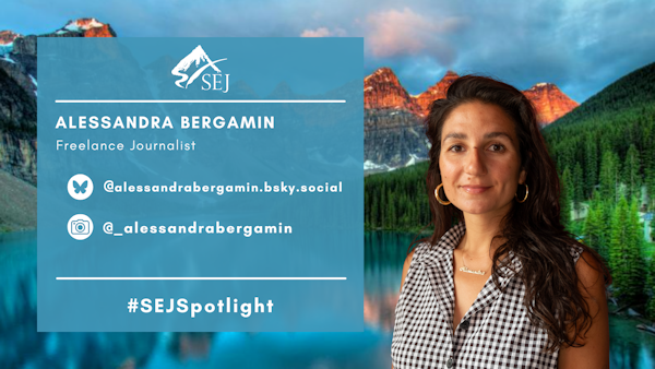 #SEJSpotlight graphic for Alessandra Bergamin