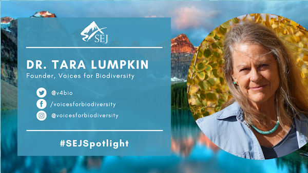 #SEJSpotlight graphic for Tara Lumpkin
