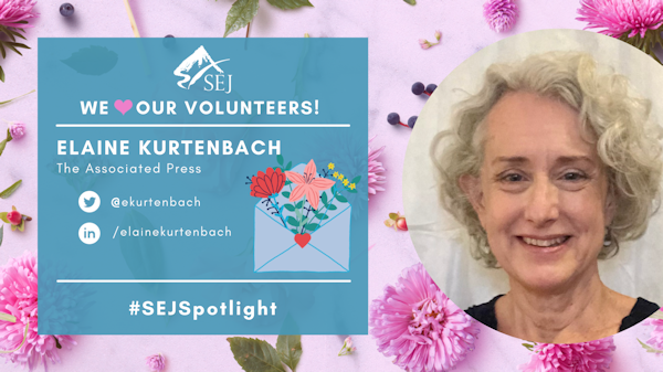 #SEJSpotlight graphic for Elaine Kurtenbach