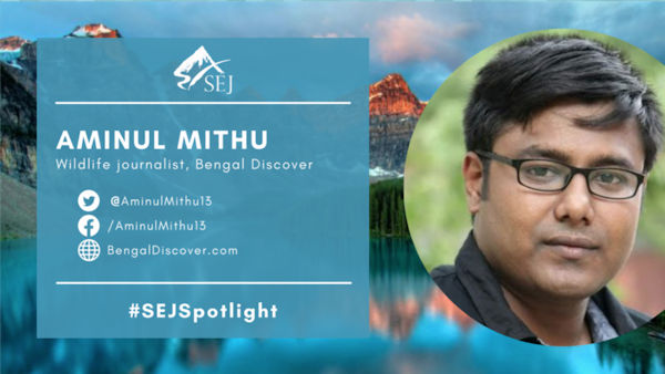#SEJSpotlight graphic for Aminul Mithu