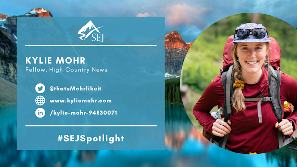 #SEJSpotlight graphic for Kylie Mohr
