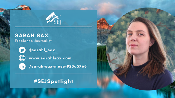 #SEJSpotlight graphic for Sarah Sax