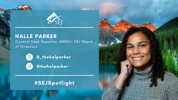 #SEJSpotlight graphic for Halle Parker