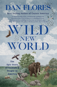 Cover of "Wild New World"
